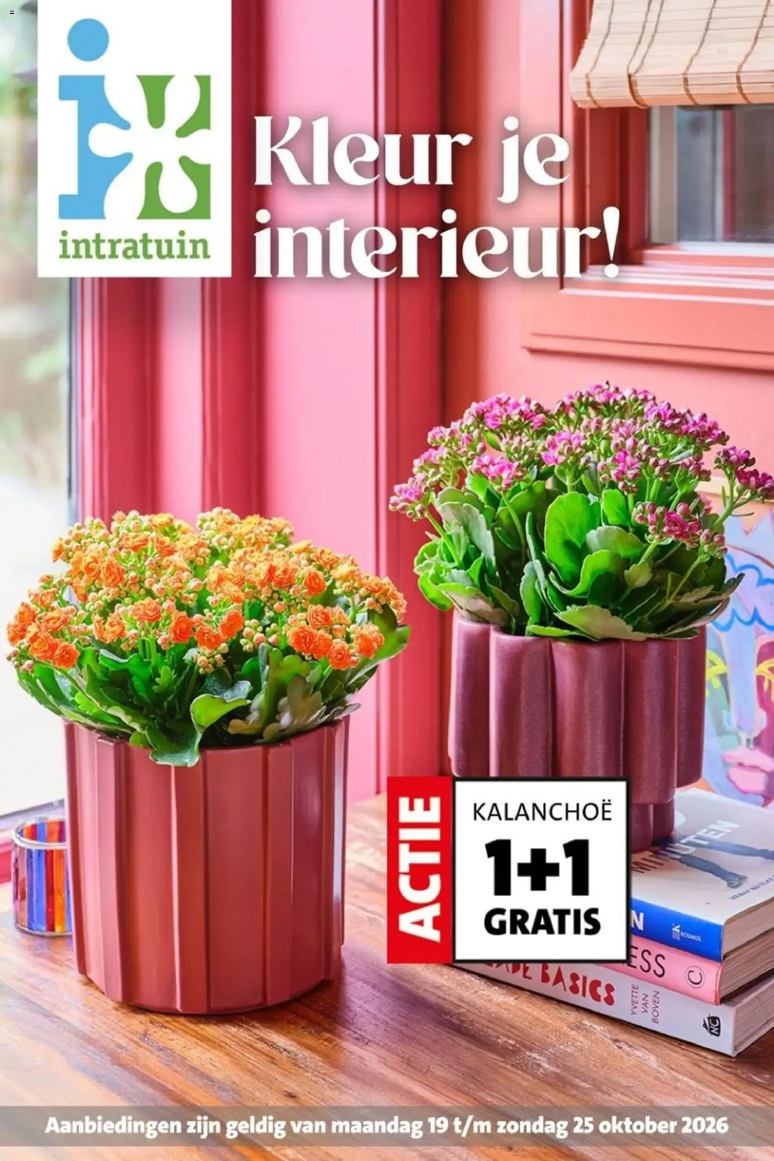 Speciale aanbiedingen van Intratuin