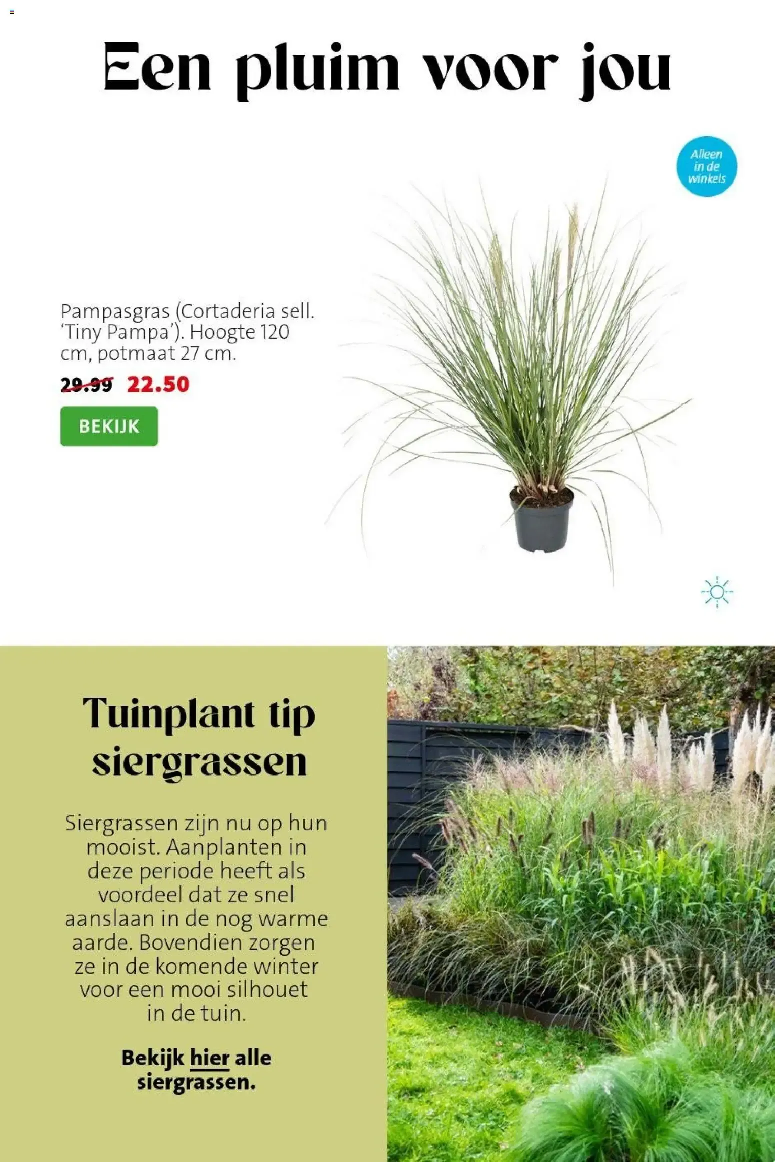 Intratuin Weekaanbiedingen - 2026/09/10 tot 2026/09/16 - Pagina 5
